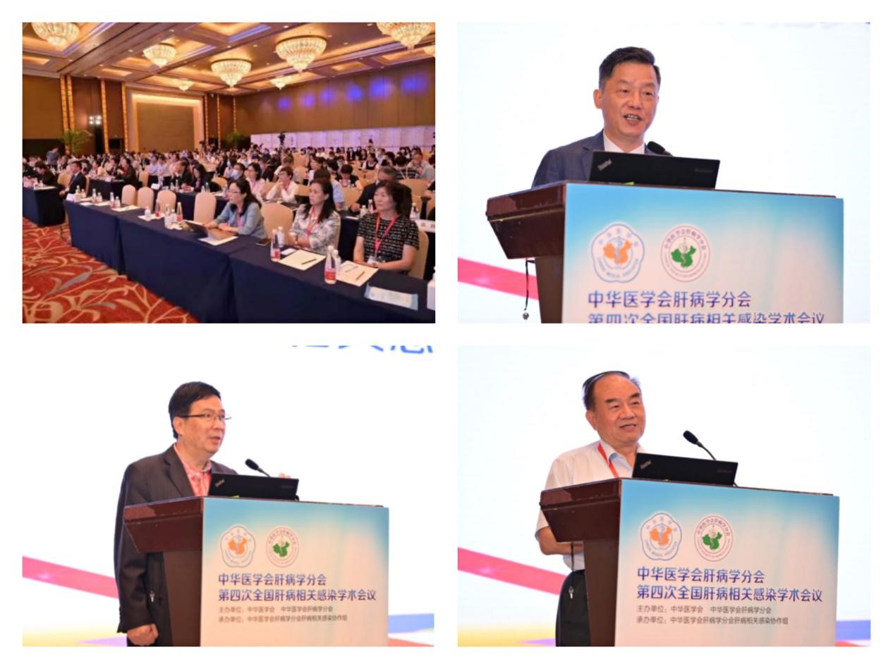 聚焦學(xué)術(shù)前沿，共迎肝病防治新征程！福瑞股份以學(xué)術(shù)助力中醫(yī)藥發(fā)展